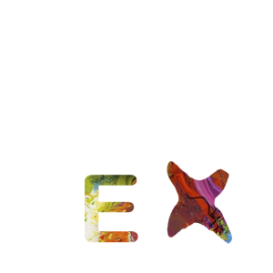 EX FABRICA